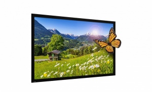 Экран Projecta HomeScreen Deluxe 10600520 95265