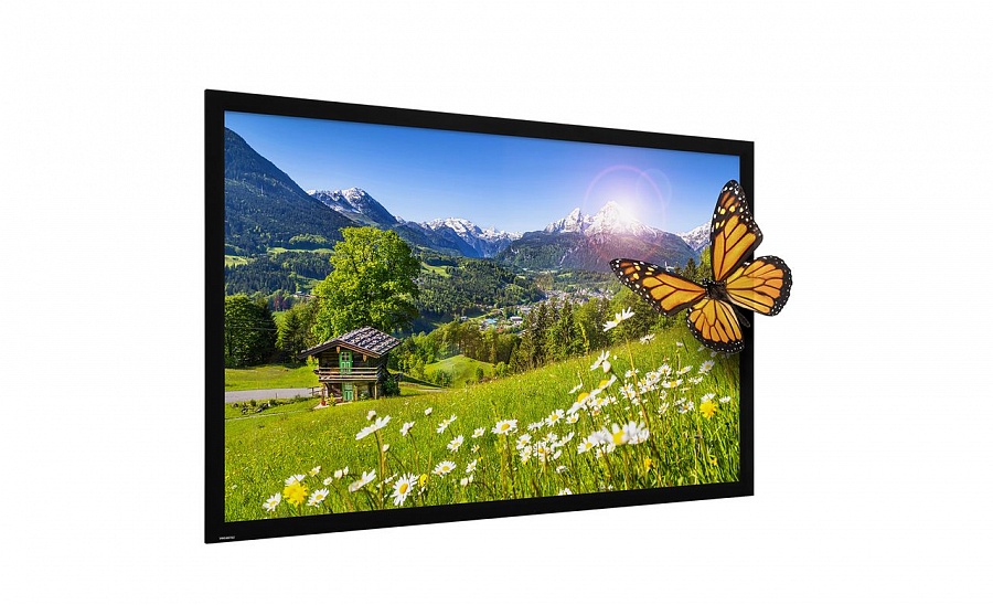 Экран Projecta HomeScreen Deluxe 10600488 95262
