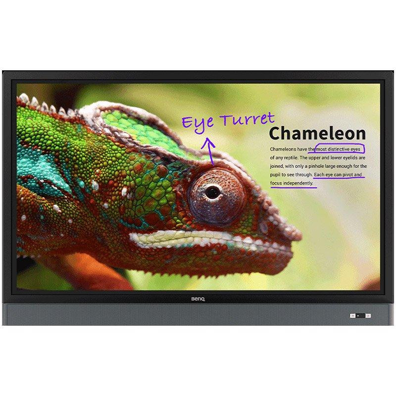 Интерактивный дисплей Benq RM6501K 9H.F4PTK.DE3