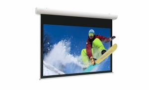 Экран с электроприводом Projecta Elpro Concept 10102099 73560
